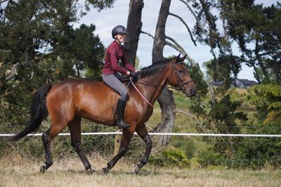 Rider Profile: Alina aka One Bay Standardbred