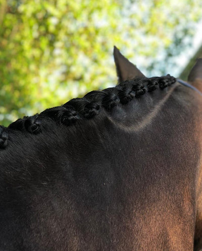 Stay Put Clear Plaiting Wax