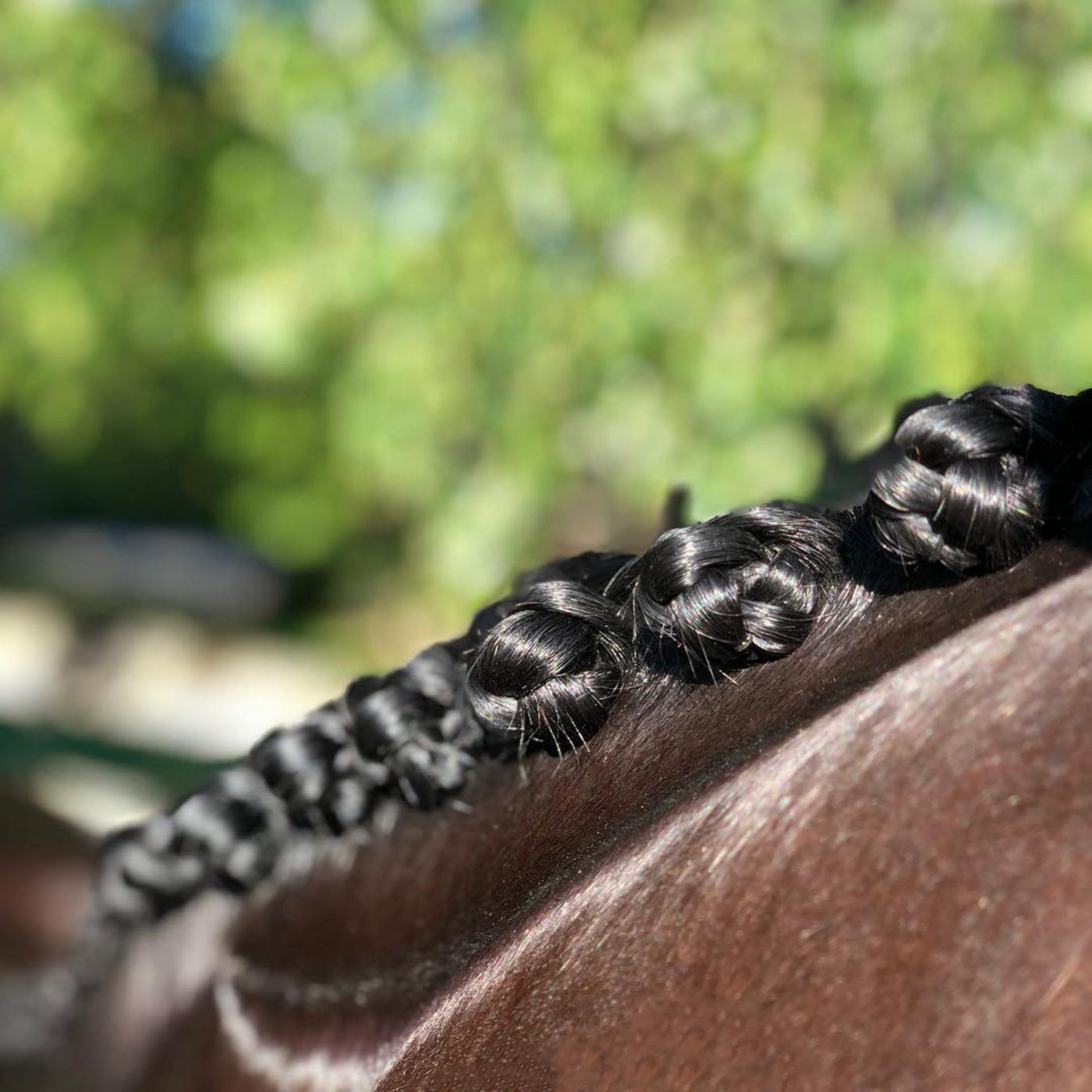 Stay Put Black Plaiting Wax